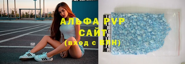 СК Алексин