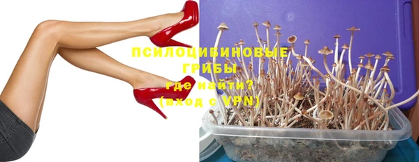 твердый Семикаракорск