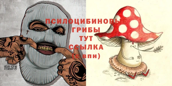 гашик Алексеевка