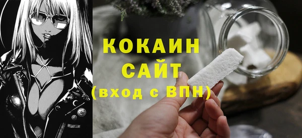 СК Алексин
